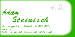 adam steinisch business card